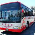 桃園客運 桃園客運
