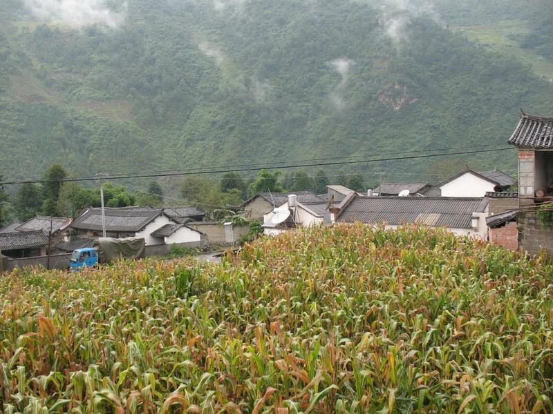 下龍壩村 下龍壩村