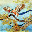 壽春鳥 壽春鳥