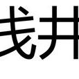 淺井(地質工程術語)