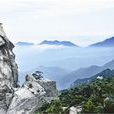 大別山主峰