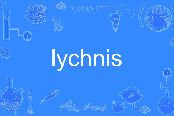 lychnis lychnis