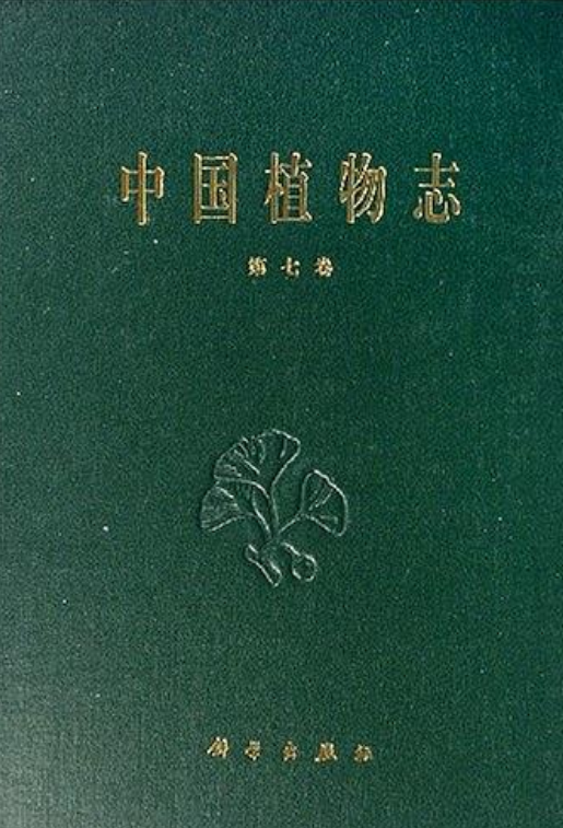 中國植物志：裸子植物門