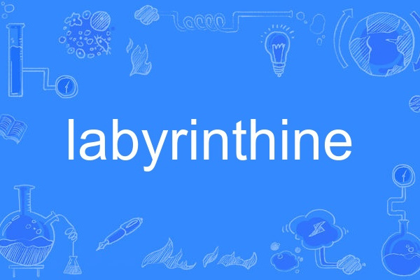 labyrinthine labyrinthine
