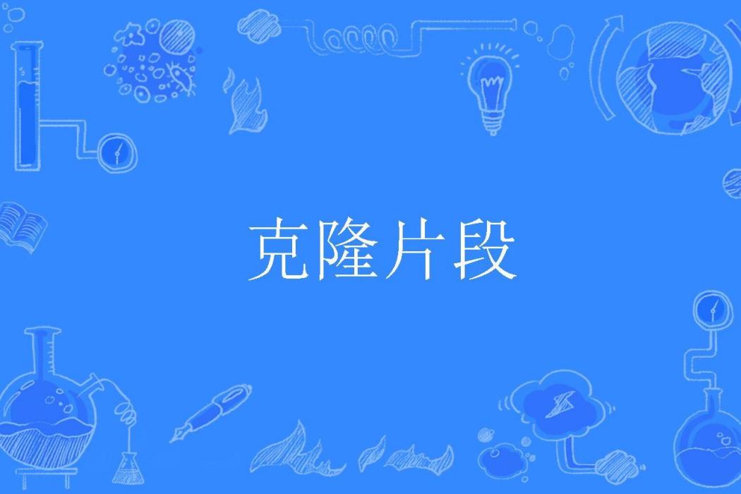 克隆片段 克隆片段