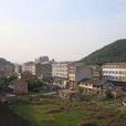 陶家屯村 陶家屯村