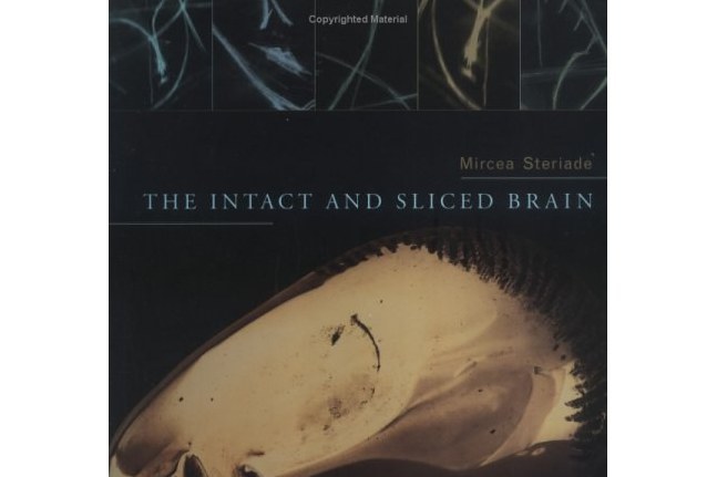 The Intact and Sliced Brain The Intact and Sliced Brain