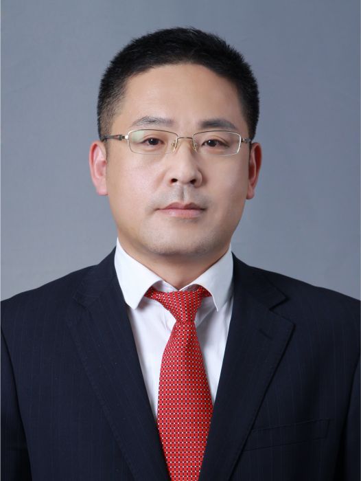 王海軍(北京德和衡律師事務所高級合伙人、副主任)