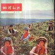 高泳源 高泳源