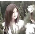 莊哲芹 莊哲芹