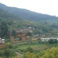 魏家村(江蘇省姜堰市張甸鎮魏家村) 魏家村(江蘇省姜堰市張甸鎮魏家村)