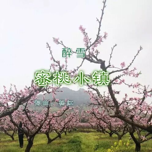 蜜桃小鎮 蜜桃小鎮