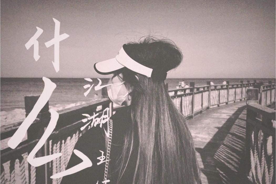 什麼江湖(王佳演唱的歌曲) 什麼江湖(王佳演唱的歌曲)