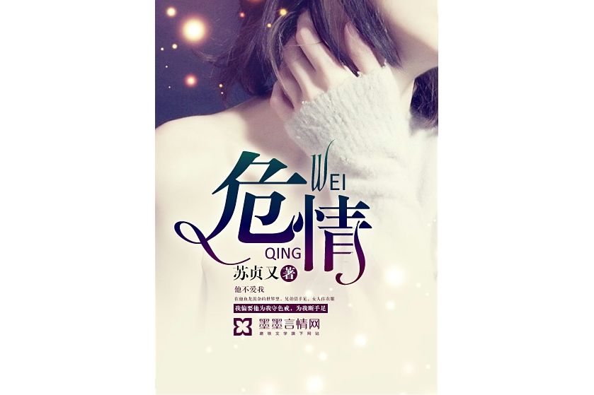 危情(蘇貞又所著小說)