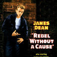 無因的反叛 無因的反叛