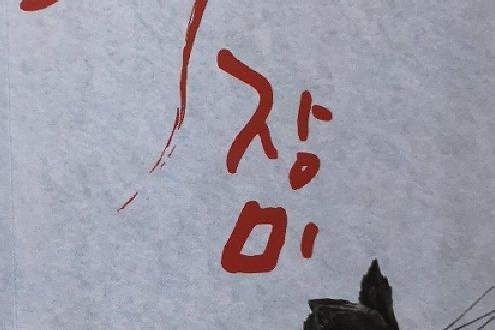 黑玫瑰(2008年延邊人民出版社出版的圖書) 黑玫瑰(2008年延邊人民出版社出版的圖書)