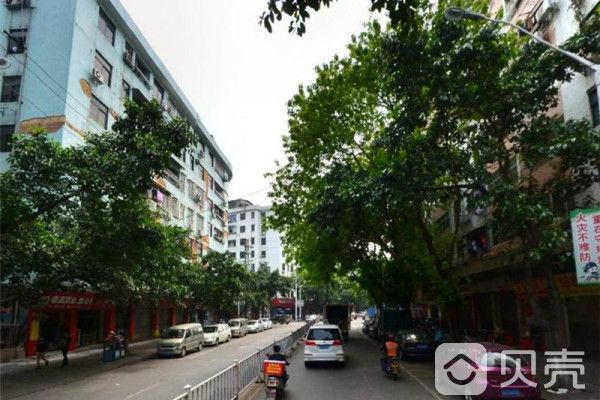 菜園中路 菜園中路