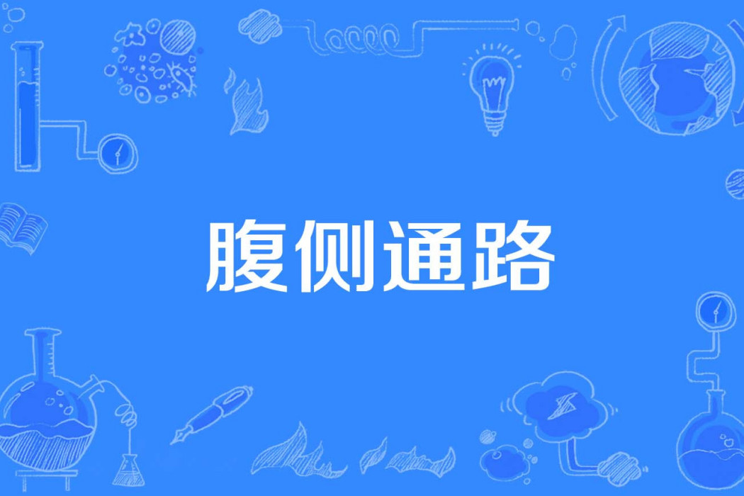 腹側通路 腹側通路