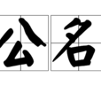 公名 公名