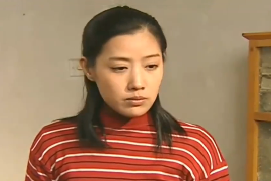 王淑娟(農村題材劇《當家的女人》中的角色) 王淑娟(農村題材劇《當家的女人》中的角色)