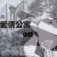愛情公寓(山野演唱歌曲) 愛情公寓(山野演唱歌曲)