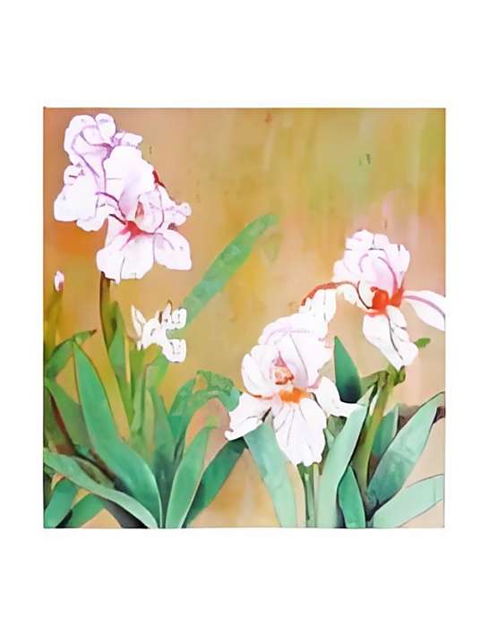 鷲尾花 鷲尾花