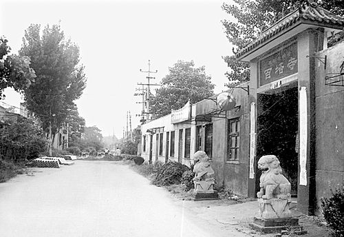 百塔村 百塔村
