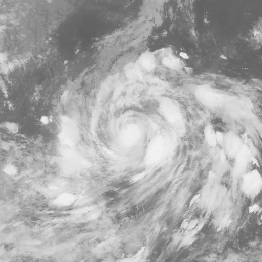 颱風“派比安”在陽江登入