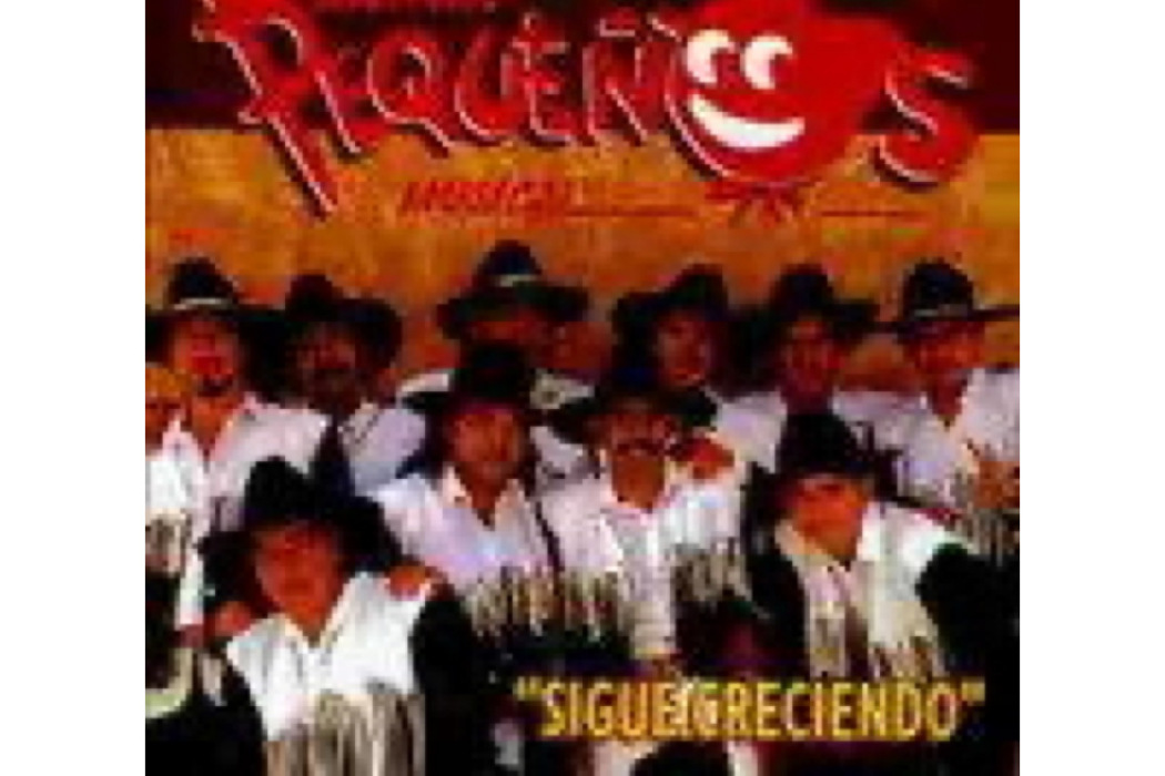 Banda Pequenos Musical Banda Pequenos Musical