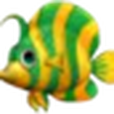 魔幻魚缸 魔幻魚缸