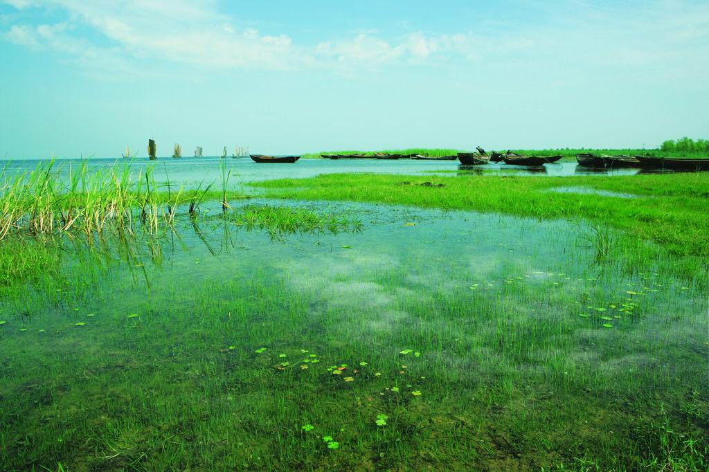 泗洪洪澤湖濕地國家級自然保護區