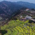 東澄村 東澄村