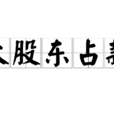 大股東占款 大股東占款