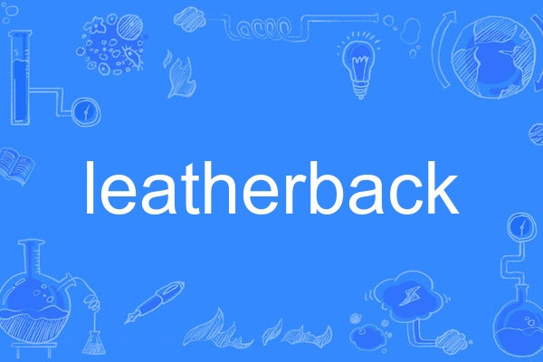 leatherback leatherback