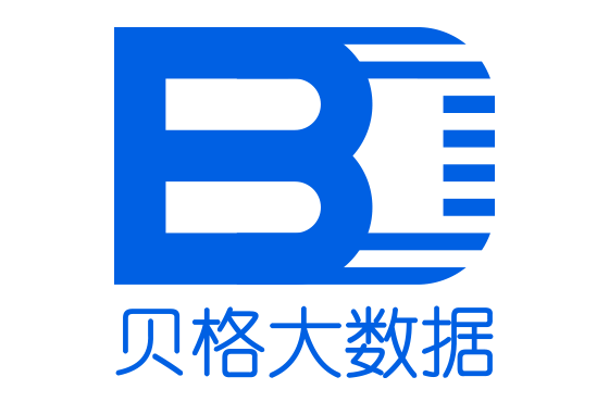 上海貝格計算機數據服務有限公司