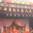 董村(山西省長子縣宋村鄉董村) 董村(山西省長子縣宋村鄉董村)