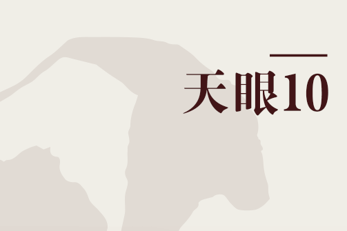 天眼10 天眼10