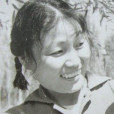 楊喜華 楊喜華
