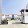 柳堡鎮(山東省濱州市無棣縣柳堡鎮) 柳堡鎮(山東省濱州市無棣縣柳堡鎮)