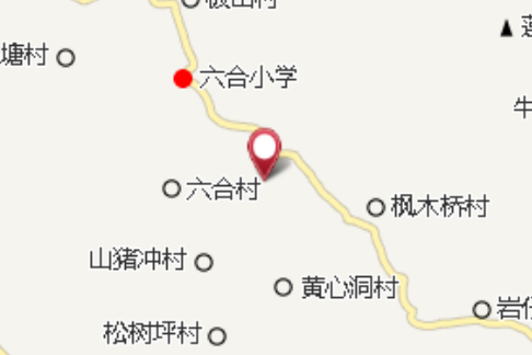黃毛背 黃毛背
