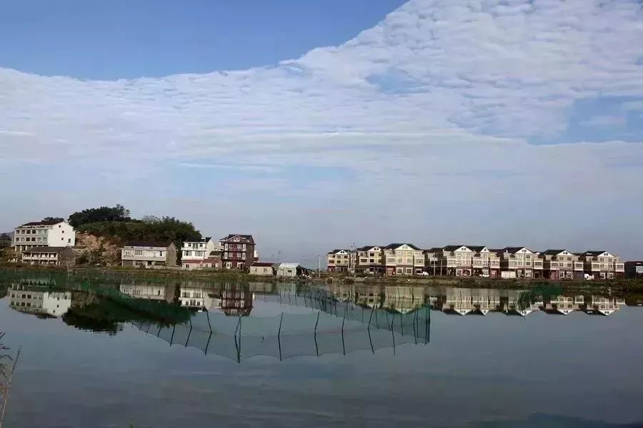 濤頭村 濤頭村