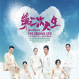 第二次人生(2014年王媛可、蘆芳生等人主演電視劇) 第二次人生(2014年王媛可、蘆芳生等人主演電視劇)