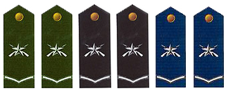 陸海空軍一級士官肩章(1999-2007)