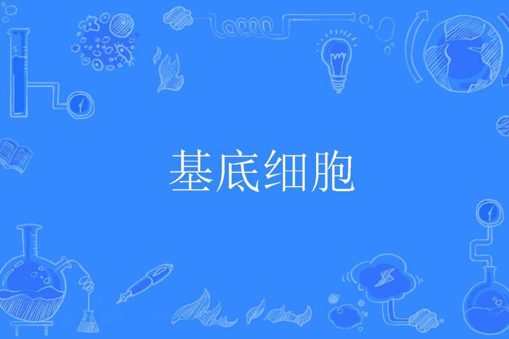 基底細胞 基底細胞