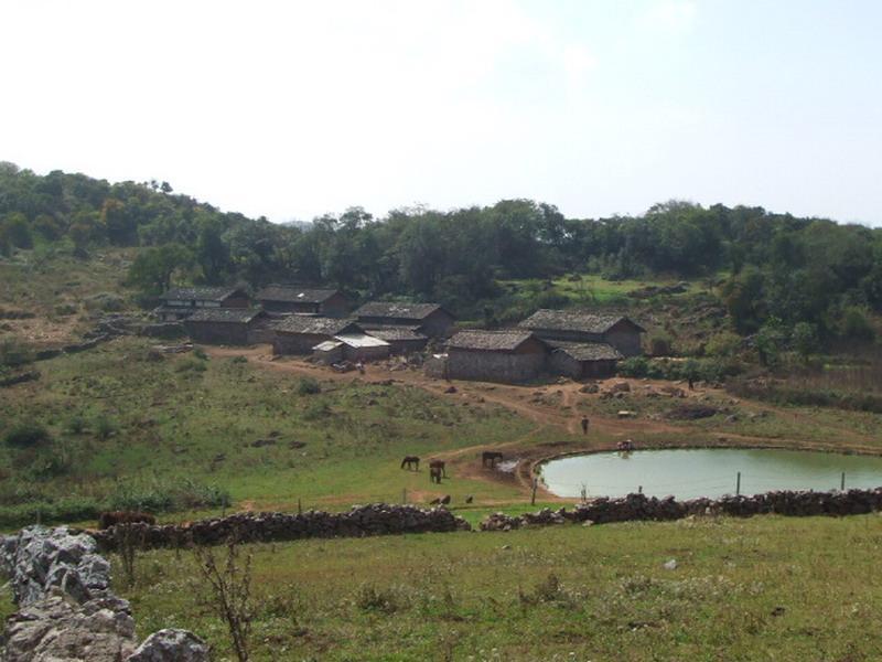 龍眼井村 龍眼井村