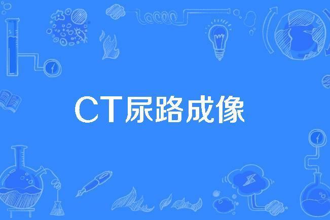 CT尿路成像 CT尿路成像
