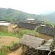 余洞村 余洞村
