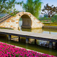 青楓公園 青楓公園