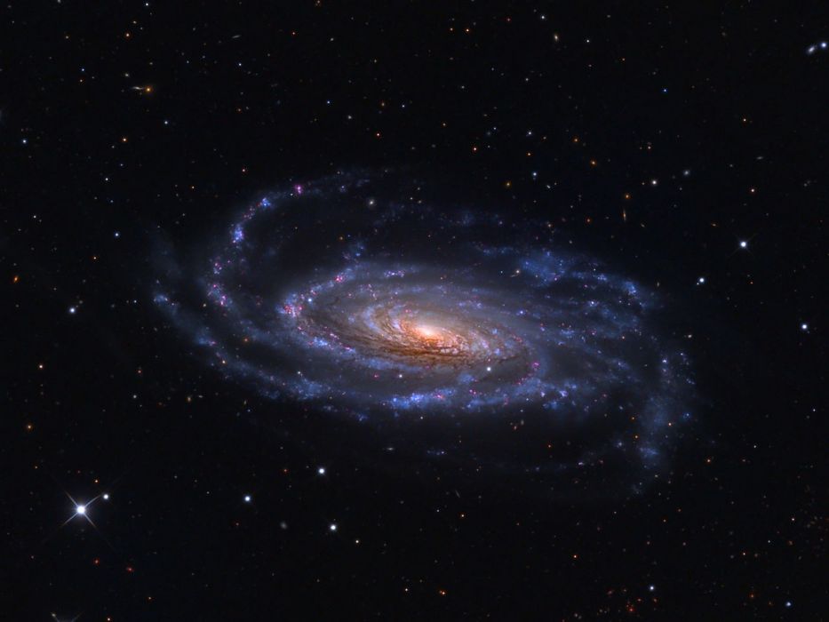 NGC 2833