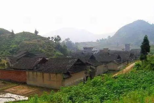 巴地村 巴地村